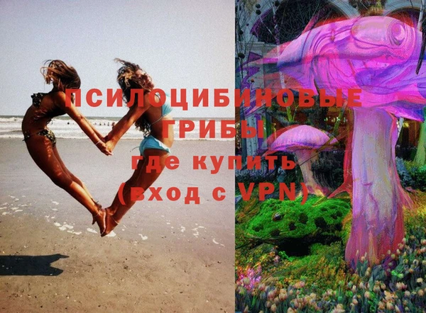 экстази Гусев