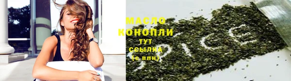 шишки Гусиноозёрск