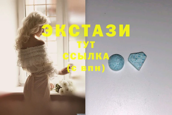 шишки Гусиноозёрск