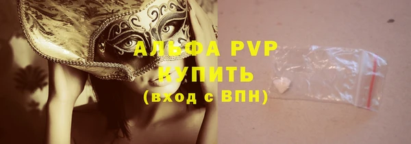 шишки Гусиноозёрск