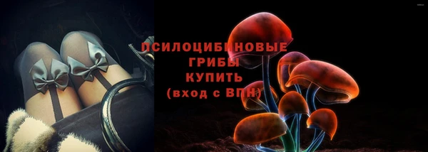 экстази Гусев