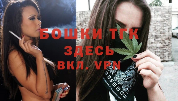 шишки Гусиноозёрск