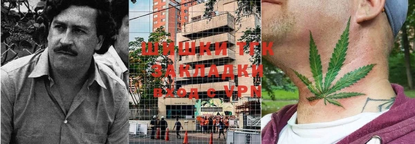 шишки Гусиноозёрск