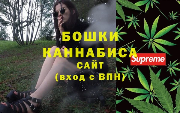 экстази Гусев