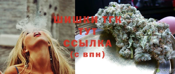 шишки Гусиноозёрск