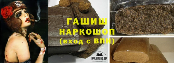 шишки Гусиноозёрск