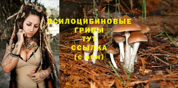 шишки Гусиноозёрск