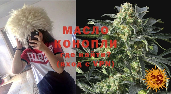 шишки Гусиноозёрск