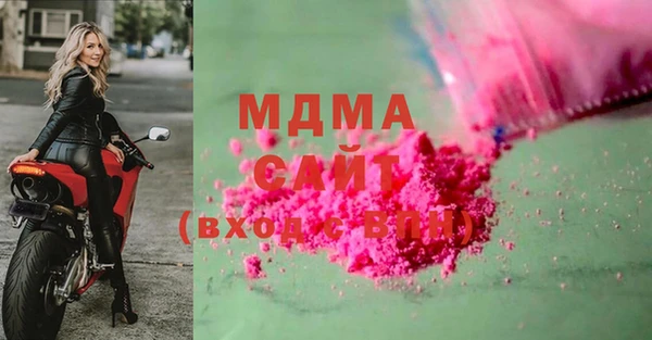 шишки Гусиноозёрск