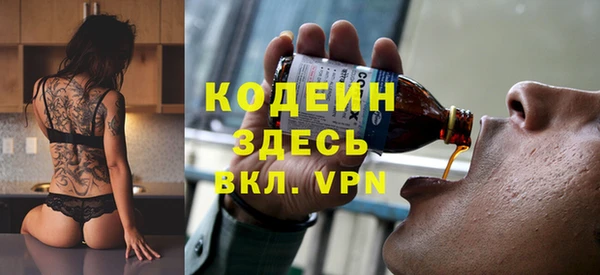 шишки Гусиноозёрск