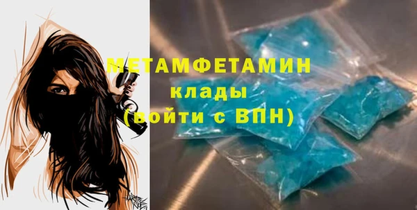 шишки Гусиноозёрск