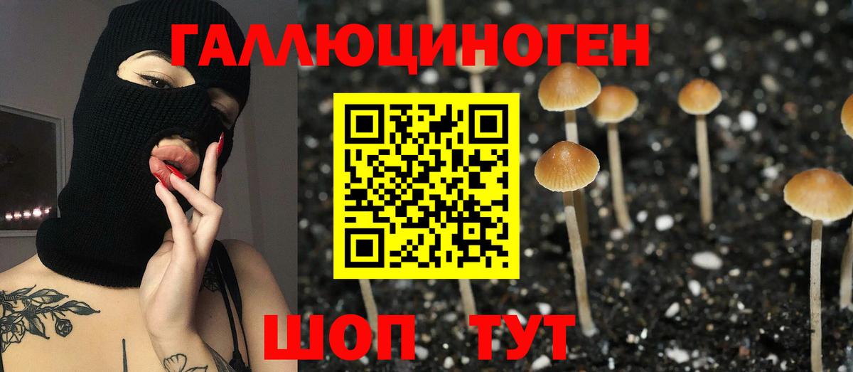 Дятьково  Галлюциногенные грибы прущие грибы  Вход с VPN 